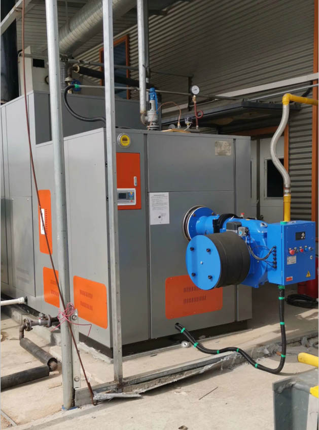 燃油蒸汽發(fā)生器